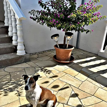 Lejlighed Buergerhaus I Zeltingen-Rachtig