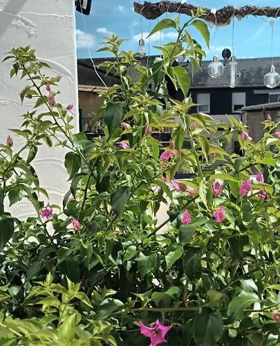 Buergerhaus I דירה זלטינגן-רכטינג