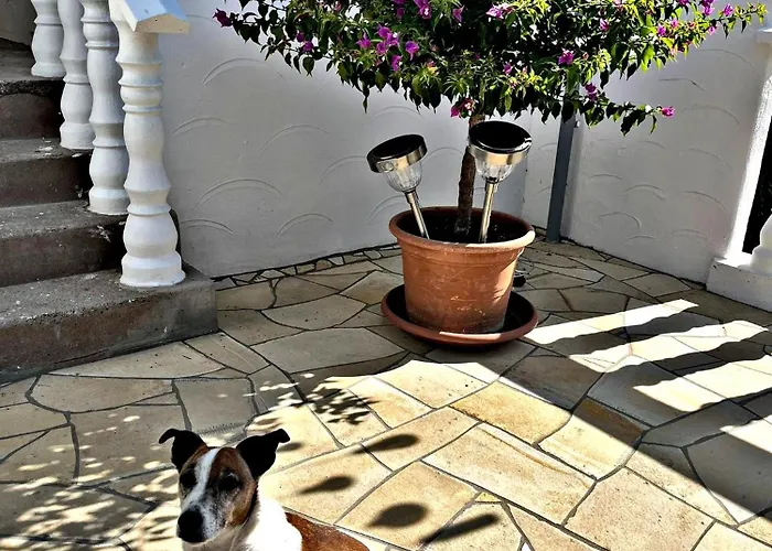 דירה Buergerhaus I זלטינגן-רכטינג